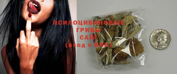 индика Бородино
