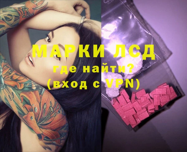 индика Бронницы