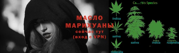 мдпв Володарск
