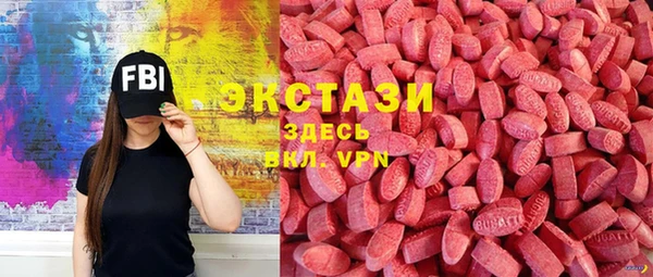 индика Бородино