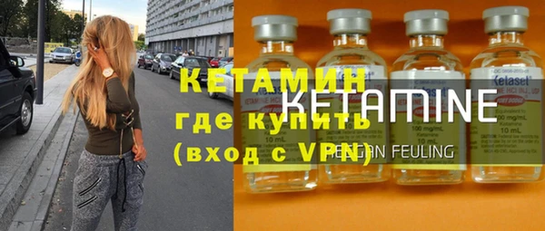 индика Бородино