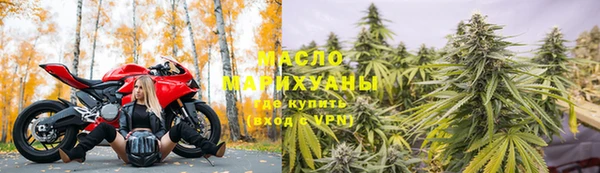 индика Бородино