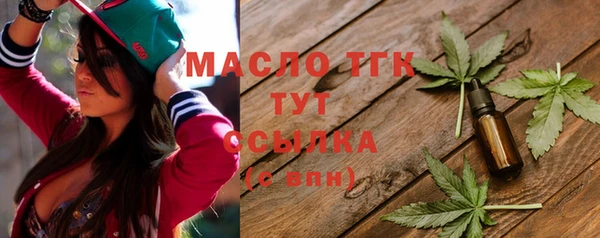 индика Бородино