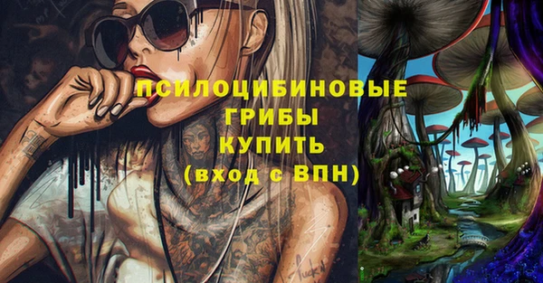 ГАЛЛЮЦИНОГЕННЫЕ ГРИБЫ Волоколамск