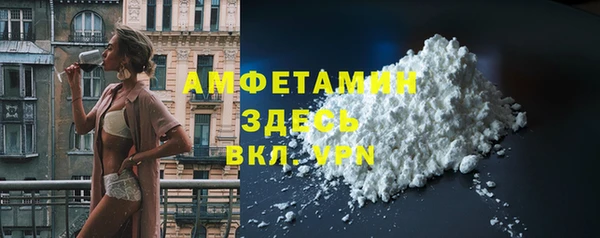 шишки Верея