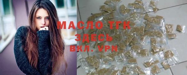 индика Бронницы