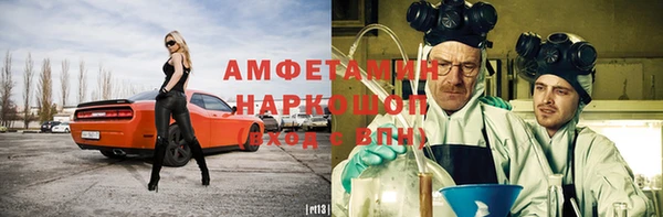 индика Бронницы