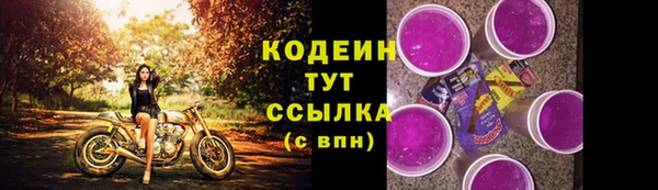 мдпв Володарск