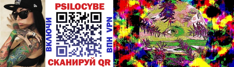 наркошоп  MEGA зеркало  сайты даркнета формула  Верхняя Пышма  Галлюциногенные грибы Psilocybe 